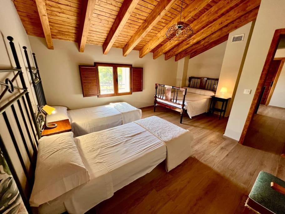 Rapia Casa Rosa 1